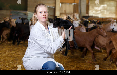 Ritratto di donna qualificata veterinario lavorando su caprini farm, cercando dopo poco capre Foto Stock