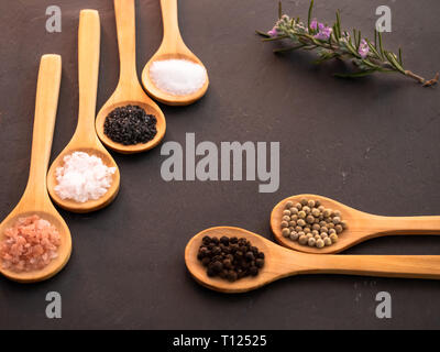 Cucchiai di legno con sale himalayano, nero hawaii sale, sale comune, fiocchi di sale, pepe e un rametto di rosmarino su una piastra di ardesia Foto Stock
