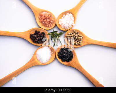 Cucchiai di legno con sale himalayano, nero hawaii sale, sale comune, fiocchi di sale, pepe e rosmarino su sfondo bianco Foto Stock