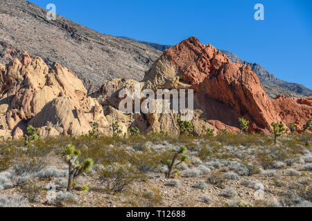 Gold Butte National Monument, Bunkerville, Nevada, STATI UNITI D'AMERICA Foto Stock