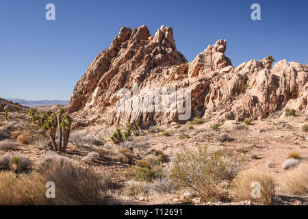 Gold Butte National Monument, Bunkerville, Nevada, STATI UNITI D'AMERICA Foto Stock