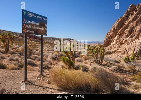 Gold Butte National Monument, Bunkerville, Nevada, STATI UNITI D'AMERICA Foto Stock