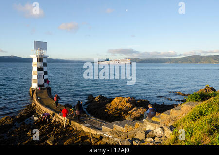 Piccolo faro al punto Halswell, Porto di Wellington, Isola del nord, Nuova Zelanda Foto Stock