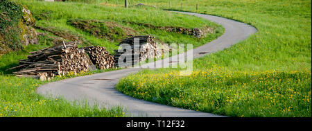 Curve in strada di campagna con fiori di primavera Foto Stock