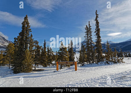 Carcross Desert in inverno, spesso considerato il deserto più piccolo al mondo Foto Stock