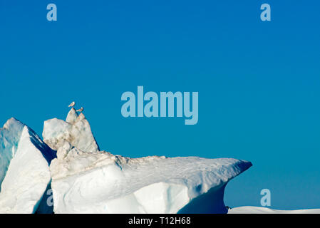 Iceberg galleggianti a Ilulissat icebergs, Groenlandia Foto Stock