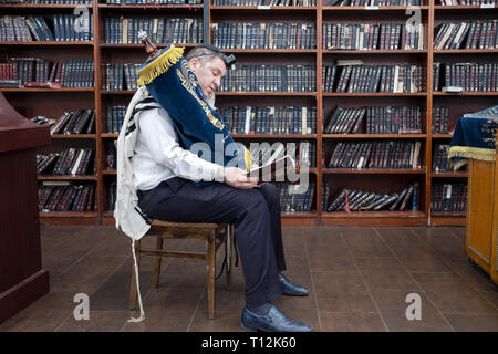 Dopo una lettura della Torah e prima che venga restituita all'arca santa, un uomo si siede e legge un libro di preghiera. In Cambria Heights, Queens, a New York. Foto Stock