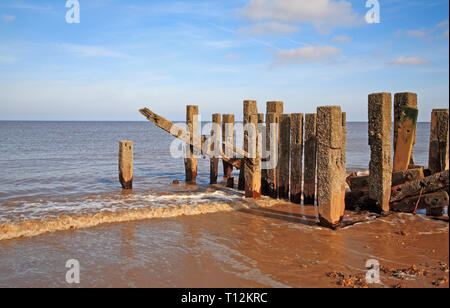 Fine del frangionde in stato di deterioramento ha rivelato a bassa marea sulla Costa North Norfolk a Bacton-on-Sea, Norfolk, Inghilterra, Regno Unito, Europa. Foto Stock