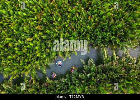 Vista aerea, i turisti provenienti dalla Cina, Corea, America, Russia un cestello tour in barca in acqua di cocco ( mangrove palm ) forest Hoi An, Quang Nam, Vietnam Foto Stock