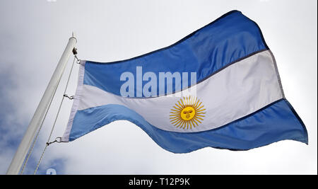 Bandiera dell'Argentina Foto Stock