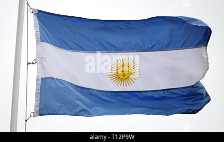 Bandiera dell'Argentina Foto Stock