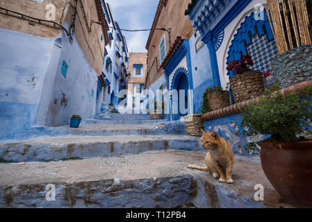 Strada di città blu nella medina. Marocchino tradizionale dettagli architettonici e case dipinte. CHEFCHAOUEN, Marocco Foto Stock