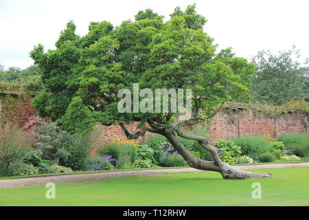 Tredegar House e giardino Foto Stock