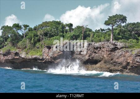 Isola Wasini riva del canale in corrispondenza della costa sud-orientale del Kenya Foto Stock