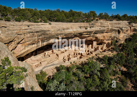 Cliff Palace, cliff dwellings in Mesa-Verde-Parco Nazionale, sito patrimonio mondiale dell'UNESCO, Colorado, Stati Uniti d'America, America del Nord Foto Stock