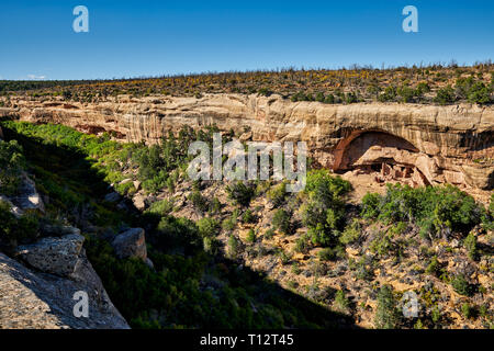 Oak Tree House, cliff dwellings in Mesa-Verde-Parco Nazionale, sito patrimonio mondiale dell'UNESCO, Colorado, Stati Uniti d'America, America del Nord Foto Stock