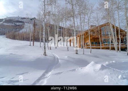 Vacilla aspens e cabina sulla montagna innevata in Utah. Un accogliente cabina su montagne coperte di neve in Park City, Utah in inverno. Un boschetto di vacilla aspen t Foto Stock