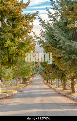 Strada e gli alberi in un cimitero in Salt Lake City. Strada in un cimitero in Salt Lake City foderato con lussureggianti alberi contro nuvoloso cielo blu. Le lapidi possono essere Foto Stock