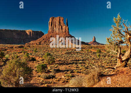 Il Monument Valley, Arizona, USA, America del Nord Foto Stock
