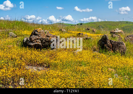 Il giallo e il verde paesaggio coperto con rocce sparse sotto il bellissimo cielo Foto Stock