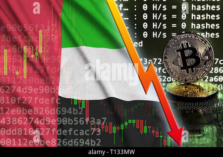 Bandiera degli Emirati Arabi Uniti e la caduta di freccia rossa su bitcoin mining schermo e due physical golden bitcoins. Concetto di bassa conversione in cryptocurrency Foto Stock