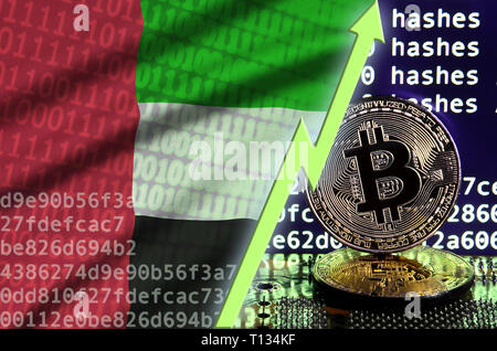 Bandiera degli Emirati Arabi Uniti in aumento e freccia verde sul bitcoin mining schermo e due physical golden bitcoins. Concetto di alta conversione in cryptocurren Foto Stock