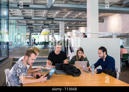 Aree dell'Università di Amsterdam Il moderno edificio del campus. Foto Stock