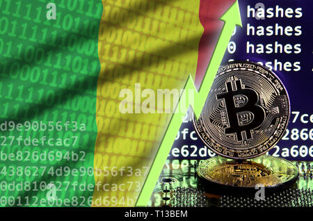 Mali bandiera in aumento e freccia verde sul bitcoin mining schermo e due physical golden bitcoins. Concetto di alta conversione in cryptocurrency mining Foto Stock