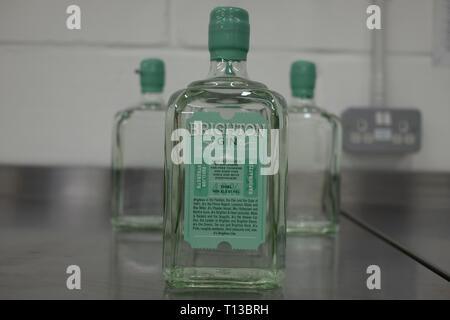 Bottiglie di Gin di Brighton Foto Stock