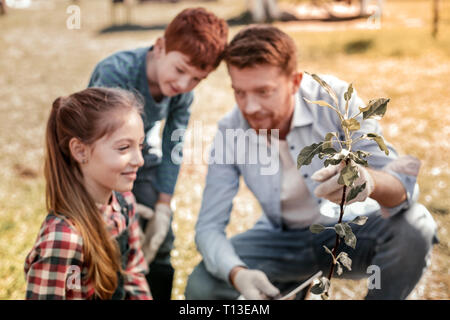 Buon padre incredibile mostra piccoli albero verde Foto Stock
