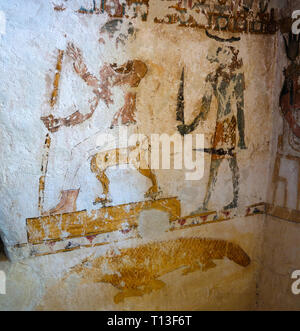 Pareti in la tomba del coccodrillo in Gabal al-Mawta aka Montagna di morti in Siwa, Egitto Foto Stock