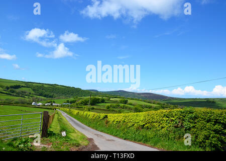 Il Devon paesaggio vicino Arlington, Devon, Regno Unito Foto Stock