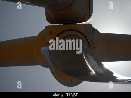 Vista ravvicinata del mozzo di una turbina eolica all'Uem Downs Wind Farm, nei pressi di Lancelin in Western Australia. Ci sono 48 turbine qui. Foto Stock