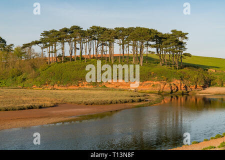 Spiaggia in Budleigh Salterton guardando verso Otterton battuta, Jurassic Coast, Devon, Regno Unito Foto Stock