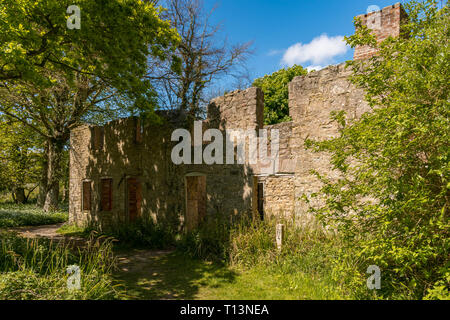 La rovina in abbandonato Tyneham villaggio vicino Kimmeridge, Jurassic Coast, Dorset, Regno Unito Foto Stock