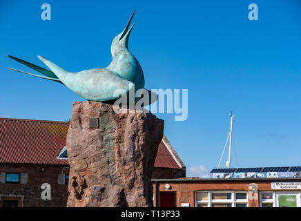 Arctic tern scultura di Geoffrey Dashwood a Scottish Centro di uccello, North Berwick, East Lothian, Scozia, Regno Unito Foto Stock