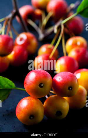 Granchio rosso mele, close-up Foto Stock