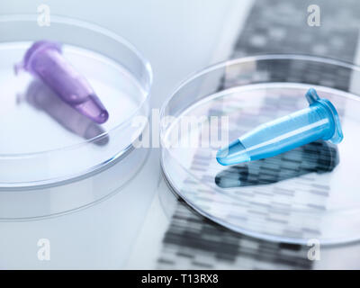 Fiale Eppendorf contenente un campione umano con il DNA autoradiogramma risultati Foto Stock