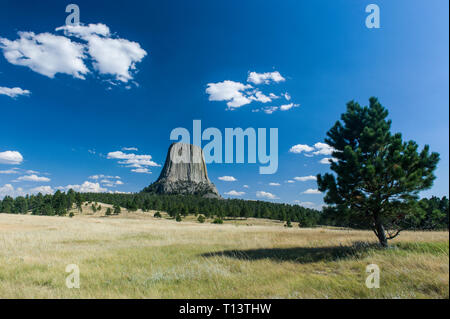 Stati Uniti d'America, Wyoming Devils Tower monumento nazionale Foto Stock