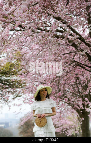 Londra, Regno Unito. 22 Mar, 2019. Una donna si vede nella parte anteriore dei fiori di ciliegio in North London park. Credito: Dinendra Haria/SOPA Immagini/ZUMA filo/Alamy Live News Foto Stock