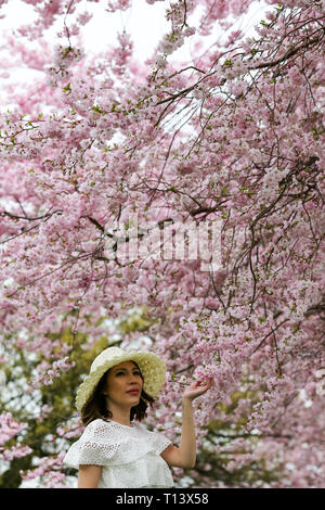 Londra, Regno Unito. 22 Mar, 2019. Una donna si vede nella parte anteriore dei fiori di ciliegio in North London park. Credito: Dinendra Haria/SOPA Immagini/ZUMA filo/Alamy Live News Foto Stock