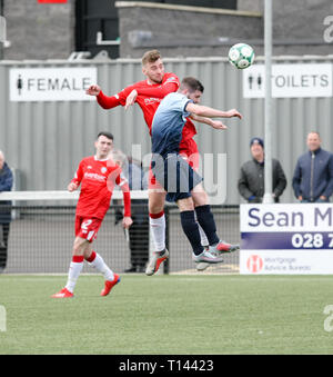 Derry, Irlanda del Nord. 23 marzo, 2019. Ryan domani in un ariel sfida con ? Durante la Danske Bank dispositivo di Premiership tra istituto FC & Coleraine FC presso la Ryan McBride Brandywell Stadium 23-03-2019 Credito: Kevin Moore/MCI/Alamy Live News Foto Stock