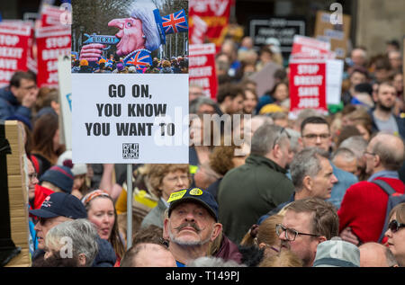 Londra, Regno Unito. 23 marzo, 2019. Migliaia scendono su Londra per metterlo alla gente protesta chiedendo un secondo referendum in un BREXIT marzo in centro a Londra il 23 marzo 2019. Foto di Andy Rowland. Credito: Andrew Rowland/Alamy Live News Foto Stock