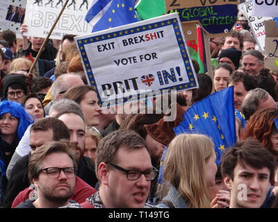 Londra, Regno Unito. 23 Mar, 2019. Centinaia di migliaia di persone riunite del voto di marzo a Londra, protestando contro Brexit, Londra, UK Credit: Nastia M/Alamy Live News Foto Stock