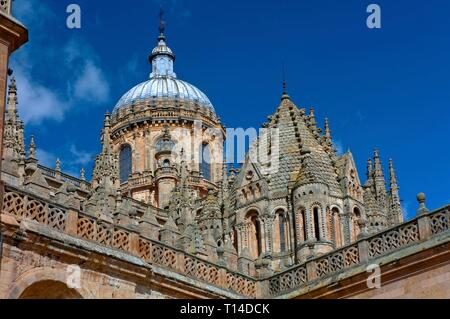 Le cupole della cattedrale, Salamanca, nella regione di Castilla y Leon, Spagna, Europa. Foto Stock