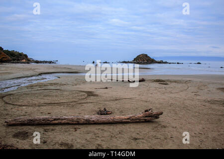 Monkey Island in Southland, Isola del Sud, Nuova Zelanda Foto Stock