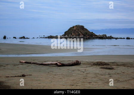 Monkey Island in Southland, Isola del Sud, Nuova Zelanda Foto Stock