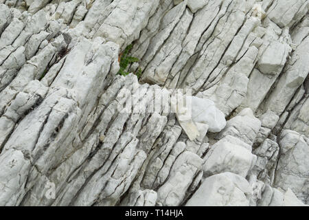 Kaikoura insolite caratteristiche costiere bianco arenaria stratificata forme modelli interessanti Foto Stock