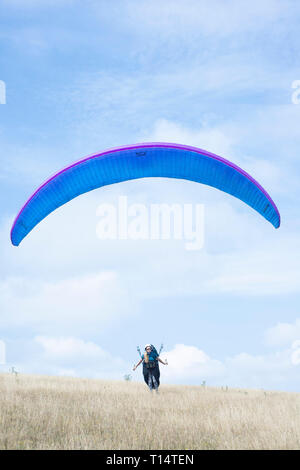 Un giovane femmina para parapendio decolla dal South Downs. Foto Stock