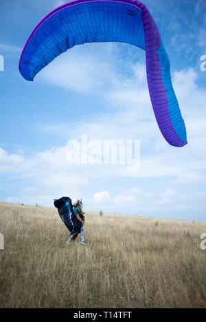 Un giovane femmina para parapendio decolla dal South Downs. Foto Stock